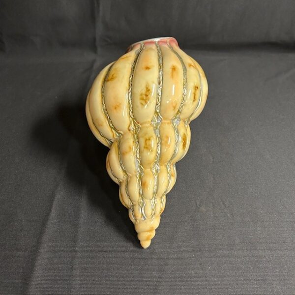 Decorative Ceramic Wall Conch Shell