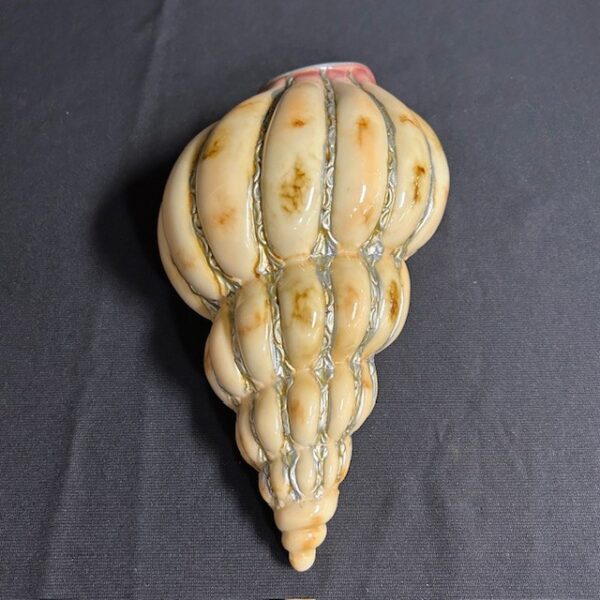 Decorative Ceramic Wall Conch Shell