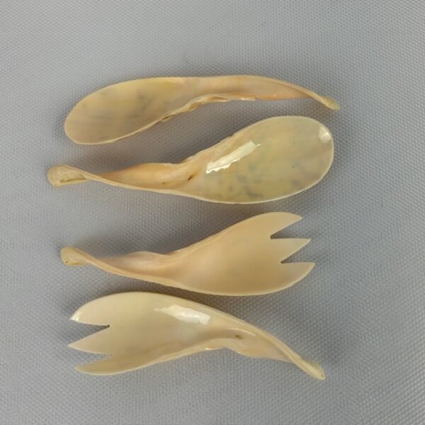 VTG Conch Hand Carved Flatware