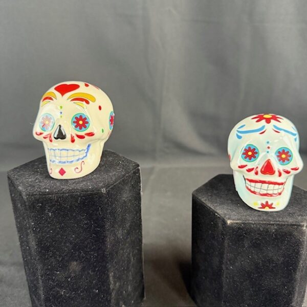 Day Of The Dead The Salt And Pepper Shaker Set