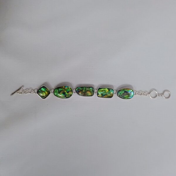 VTG Abalone & Sterling Link Bracelet