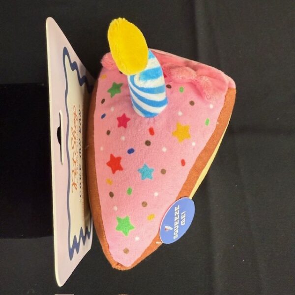 NWT "Cake my Day" Dog Toy
