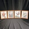 Set of 4 Framed VTG Wildlife/Botanical Prints