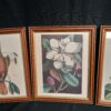 Set of 4 Framed VTG Wildlife/Botanical Prints