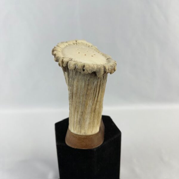 VTG Antler Salt Shaker